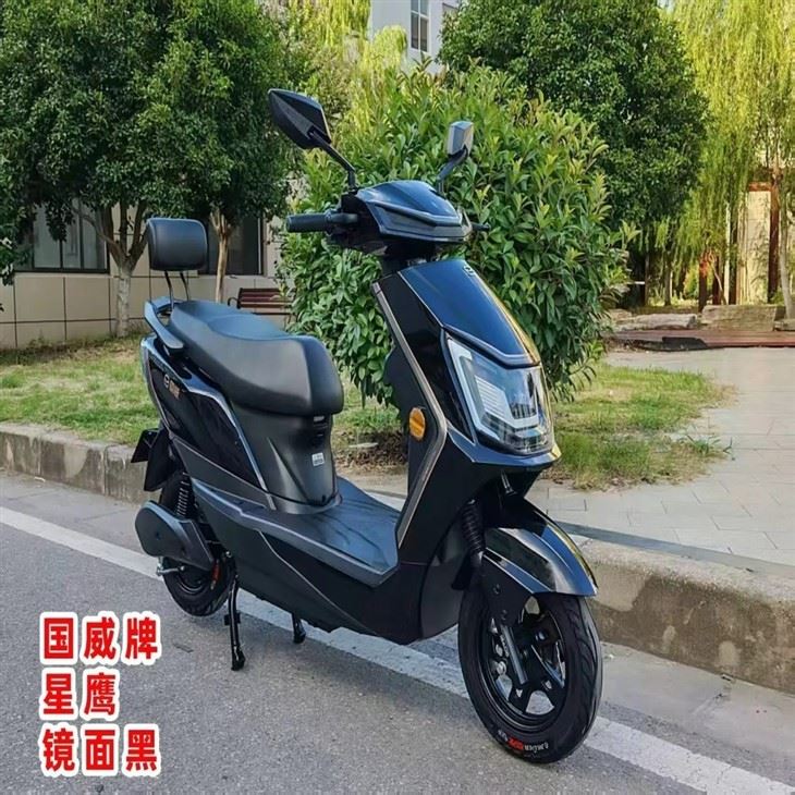 Cheap Scooter 50km Long Range 800W Adult Electric ,Motorcycle Scooter price