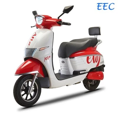 Proizvodnja OEM Dizajn Brzina 1000W električni bicikl Električni motocikli